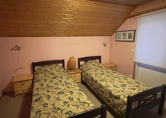 Holiday home Mannimaatila Tera Lux Punkaharju