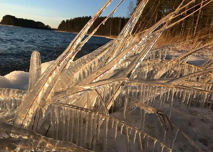 Mannimaatila Tera Lux Holiday home *