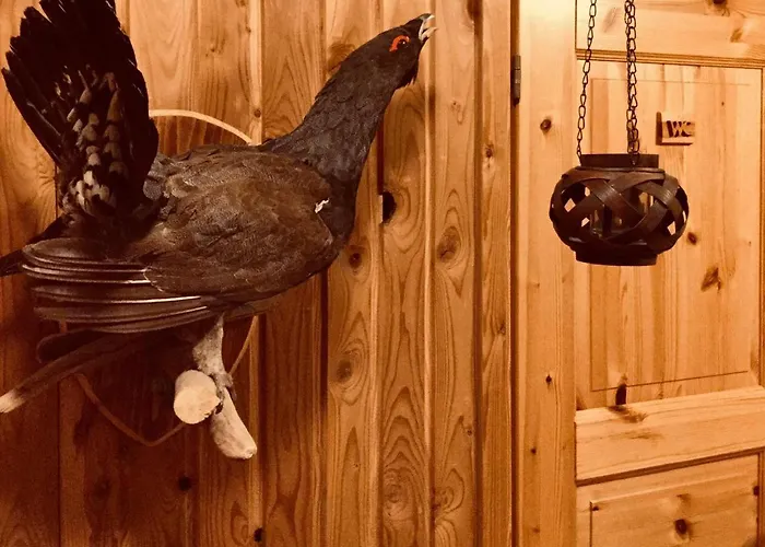 Mannimaatila Tera Lux بيت للعطل بونكاهاريو