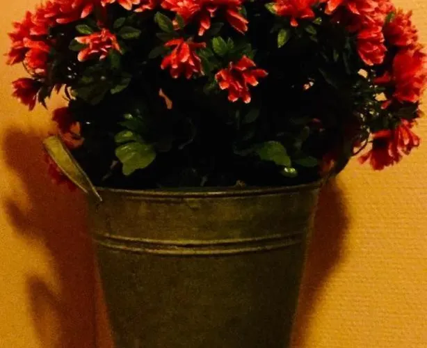 Mannimaatila Tera Lux Holiday home